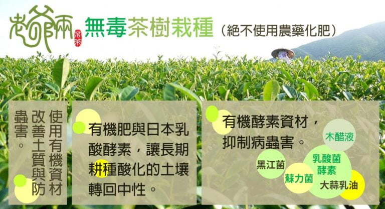 老茶本質好 食在好安心