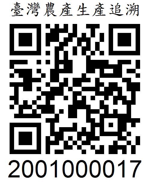 qrcode big