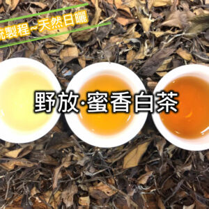 野放蜜香白茶