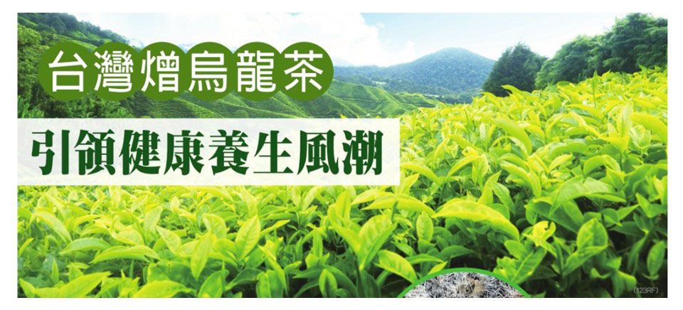 台灣熷烏龍茶